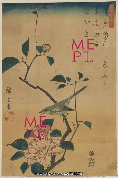 : Camellia and Bush Warbler : Camellia and Bush Warbler