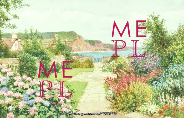 : Camellia Walk, Connaught Gardens, Sidmouth, East Devon : Camellia Walk, Connaught Gardens, Sidmouth, East Devon
