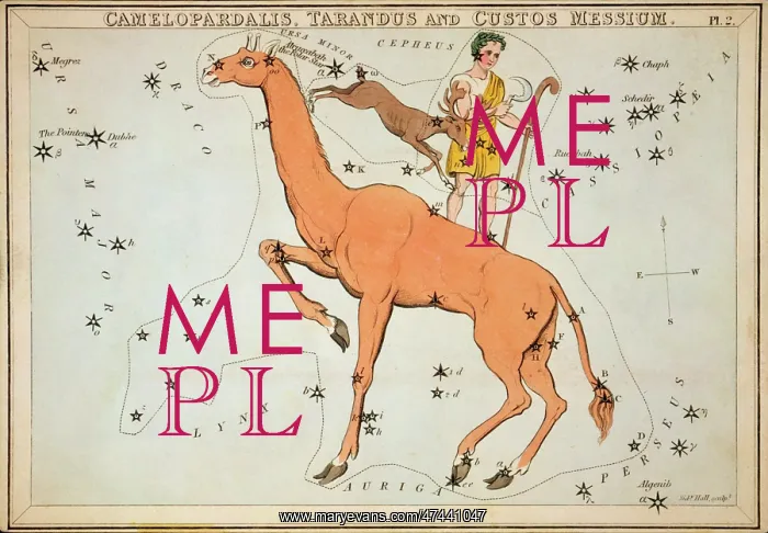 : Camelopardalis, Tarandus and Custos Messium : Camelopardalis, Tarandus and Custos Messium