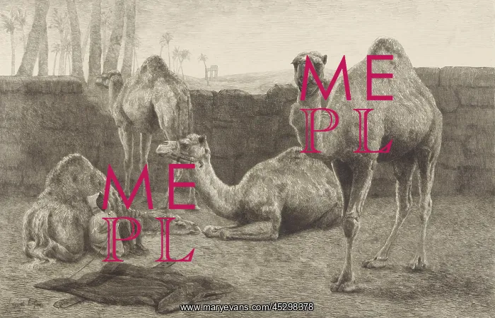 : Camels, by August Le Gra : Camels, by August Le Gra
