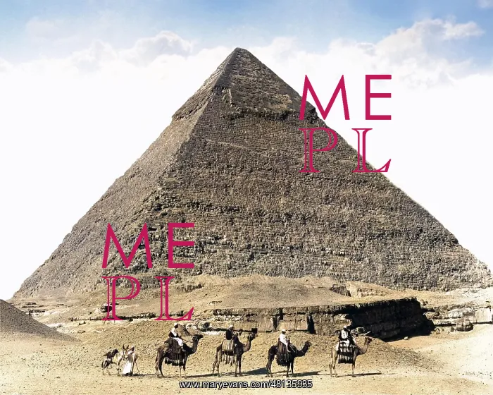 : Camels and pyramid, Egypt : Camels and pyramid, Egypt