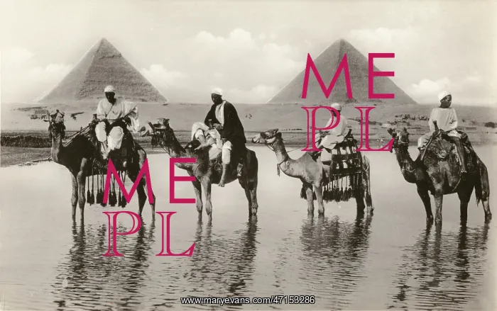 : Camels and riders near the Pyramids, Egypt : Camels and riders near the Pyramids, Egypt