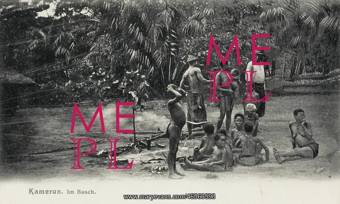  : Cameroon, Africa - In the Bush