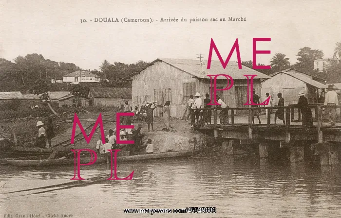 : Cameroon - Douala - Arrival of the fish catch for market : Cameroon - Douala - Arrival of the fish catch for market
