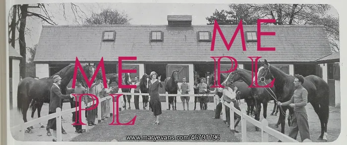 : Camille Clifford at Stable : Camille Clifford at Stable