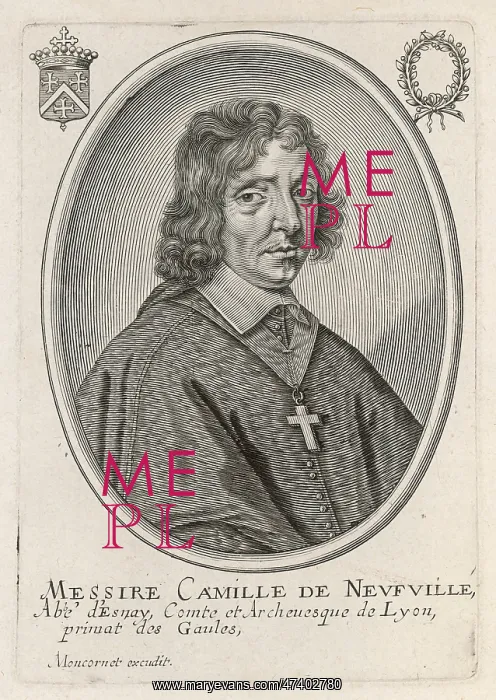 : CAMILLE DE NEUFVILLE : CAMILLE DE NEUFVILLE