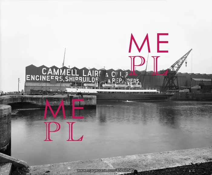 : Cammell Laird shipyard at Birkenhead : Cammell Laird shipyard at Birkenhead