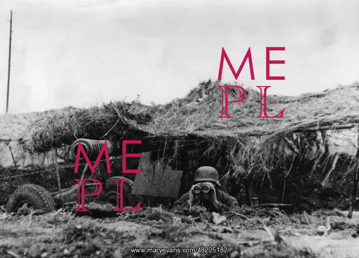 : Camouflaged German gun emplacement on the Western Front : Camouflaged German gun emplacement on the Western Front