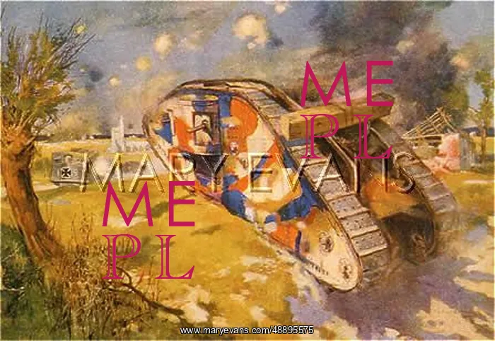 : CAMOUFLAGED TANK : CAMOUFLAGED TANK