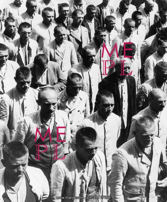 : Camp internees at roll call at Dachau concentration camp, Ba : Camp internees at roll call at Dachau concentration camp, Ba