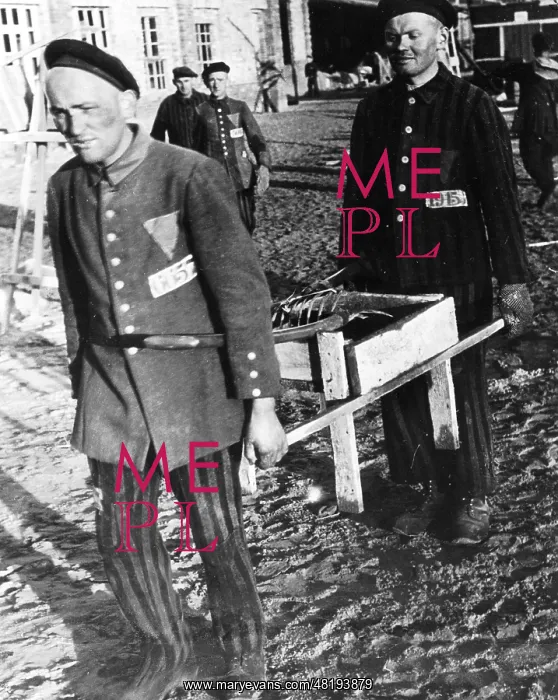 : Camp internees in striped uniforms doing forced labour at Sa : Camp internees in striped uniforms doing forced labour at Sa