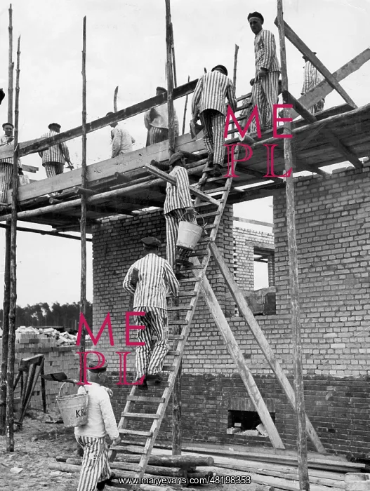 : Camp internees in striped uniforms doing forced labour at Sa : Camp internees in striped uniforms doing forced labour at Sa