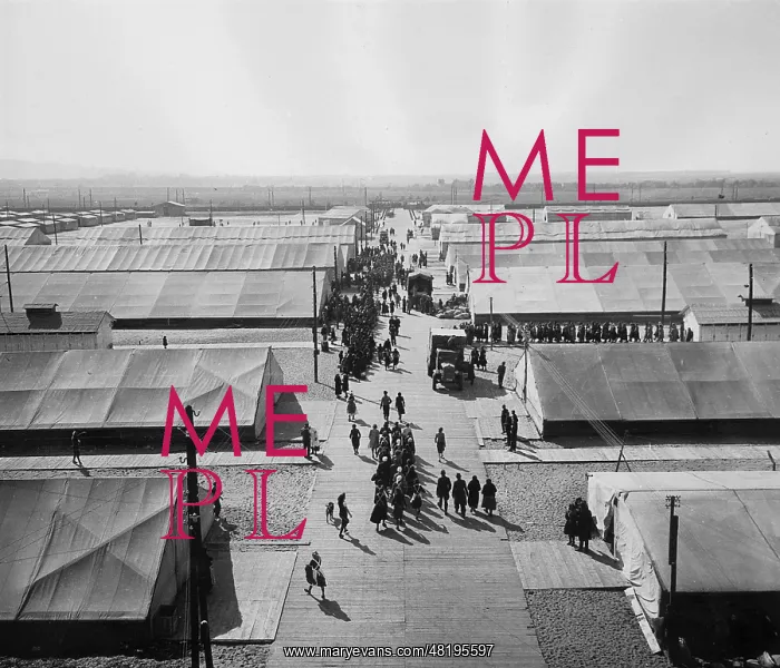 : Camp Prahovo in Romania, 1940 : Camp Prahovo in Romania, 1940
