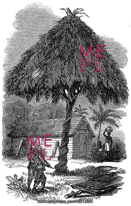 : The camp whipping post at Inquabim, 1874 : The camp whipping post at Inquabim, 1874