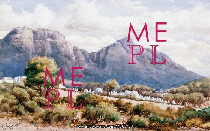 : Camp at Wynberg, 1883 : Camp at Wynberg, 1883