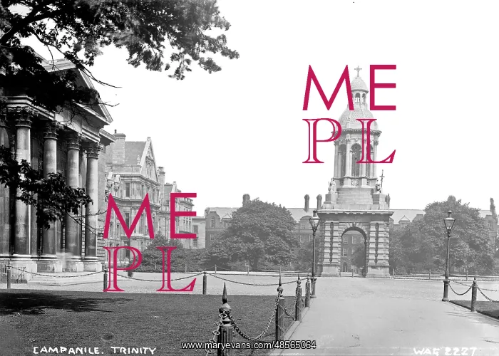 : Campanile, Trinity : Campanile, Trinity