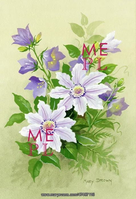  : Campanulas and clematis