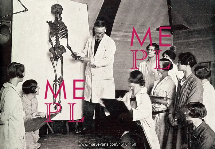 : Campden Hill Art School - anatomy class : Campden Hill Art School - anatomy class