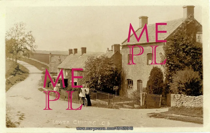 : Campden Lane : Campden Lane
