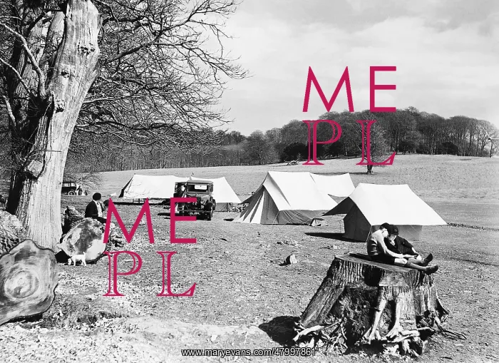  : Camper at Lyndhurst in England