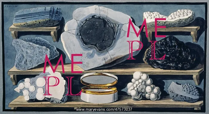  : Campi Phlegraei