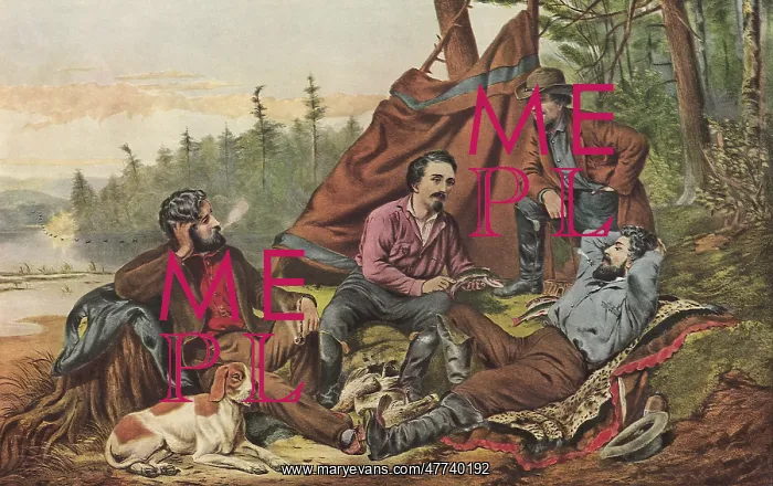  : Camping in the Woods