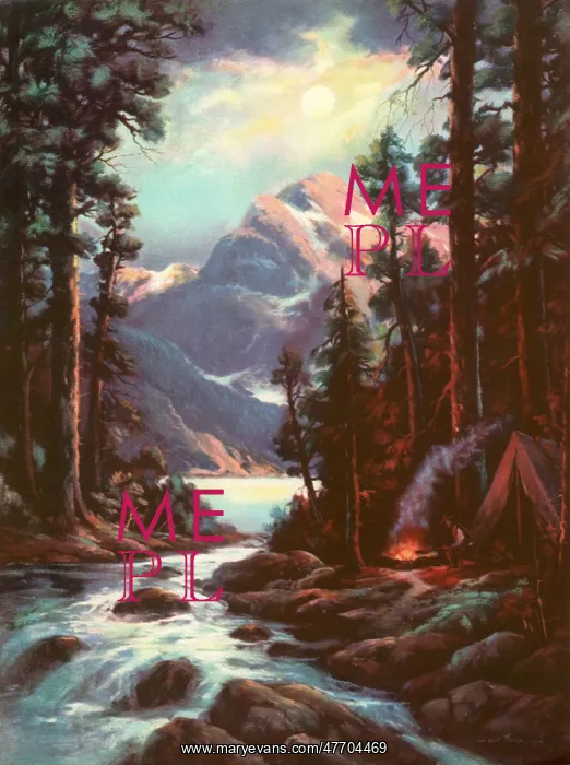  : Campsite by Stream