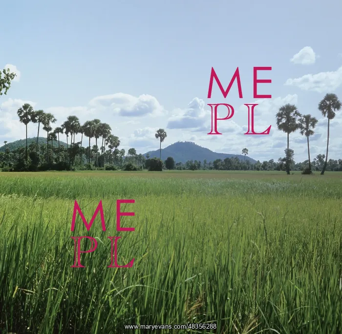 : Campuchea scenery, 1983 : Campuchea scenery, 1983