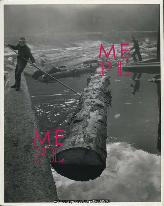 : Canada. British Columbia Papermaking: Sorting logs for distribution to : Canada. British Columbia Papermaking: Sorting logs for distribution to