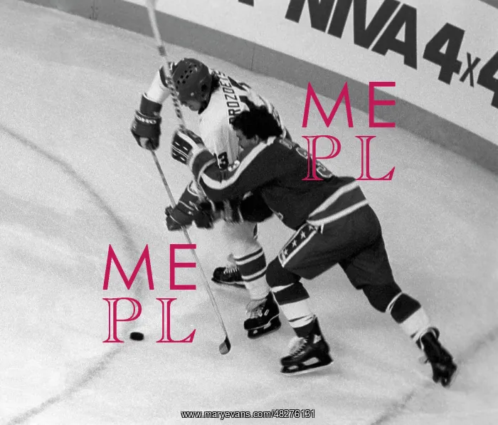 : Canada Cup, 1981 : Canada Cup, 1981