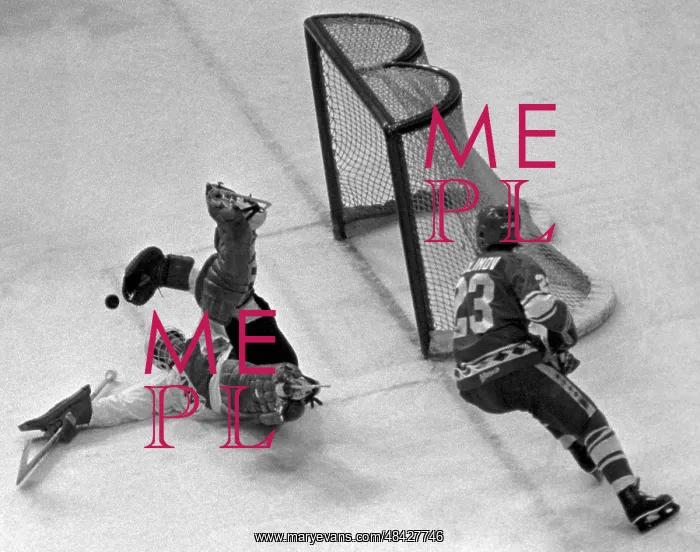 : Canada Cup, 1981 : Canada Cup, 1981