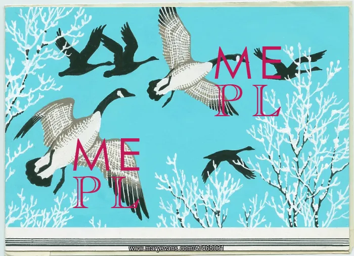 : Canadas Rising. Geese in flight : Canadas Rising. Geese in flight