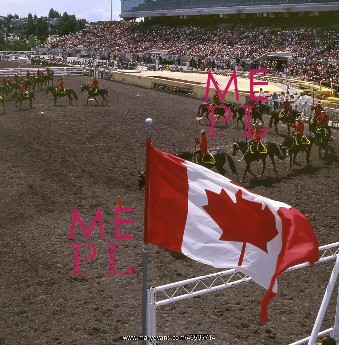 : CANADIAN MOUNTIES 1985 : CANADIAN MOUNTIES 1985