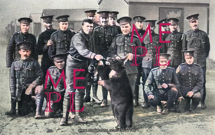 : Canadians in camp at Salisbury Plain with bear mascot : Canadians in camp at Salisbury Plain with bear mascot