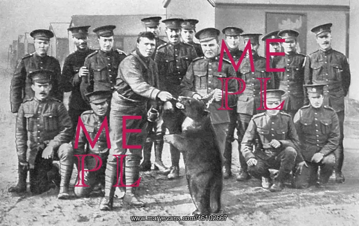 : Canadians in camp at Salisbury Plain with bear mascot : Canadians in camp at Salisbury Plain with bear mascot