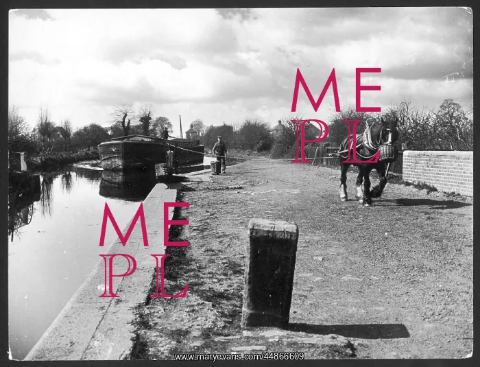 : CANAL TOW PATH & HORSE : CANAL TOW PATH & HORSE