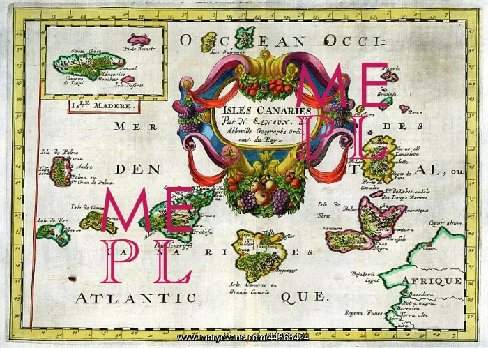  : Canaries