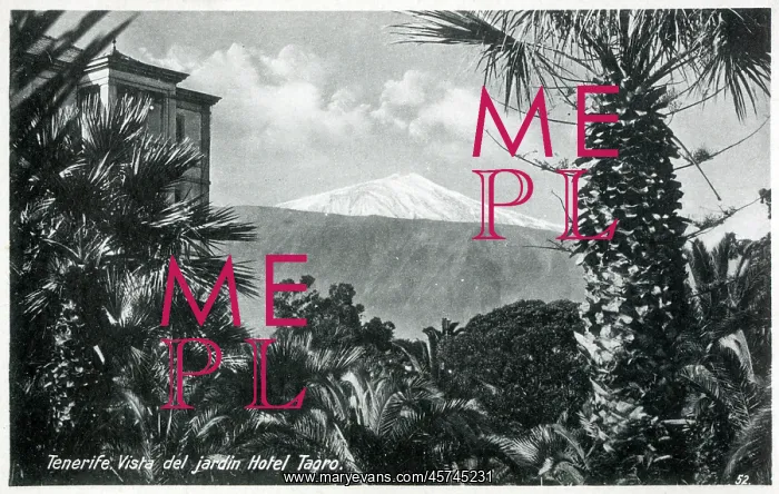 : Canary Islands - Tenerife - View toward Mount Teide Volcano : Canary Islands - Tenerife - View toward Mount Teide Volcano