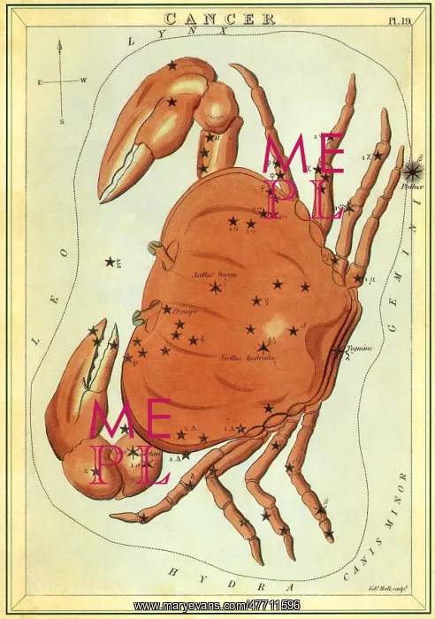 : Cancer, the Crab : Cancer, the Crab