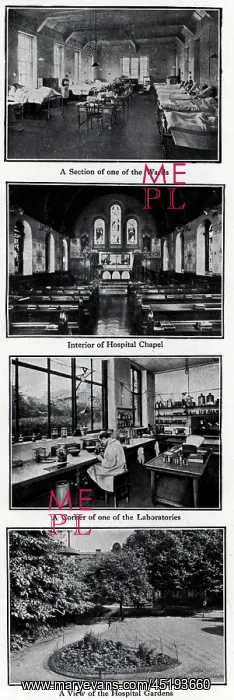 : The Cancer Hospital Advertisement : The Cancer Hospital Advertisement
