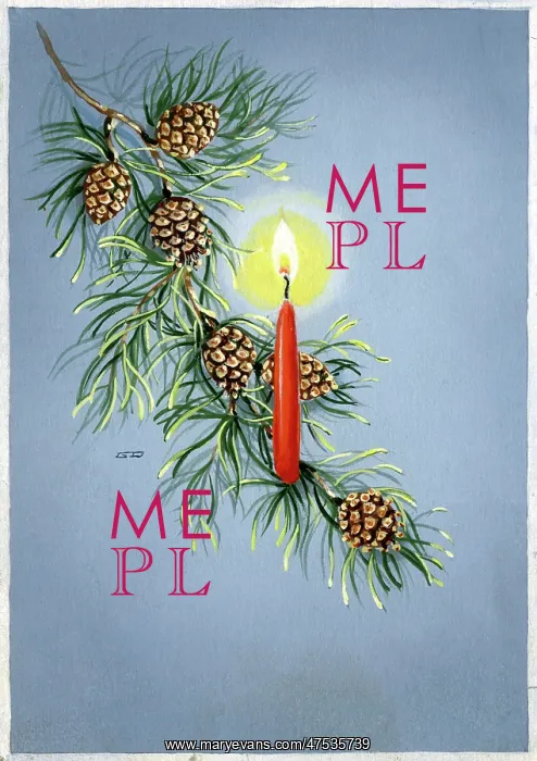 : Candle on Pine bough with cones
