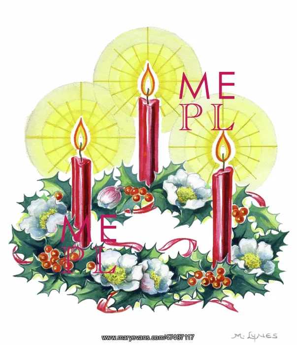: Candles with holly and Christmas roses : Candles with holly and Christmas roses