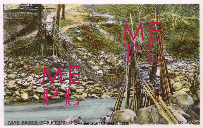  : Cane Bridge - Darjeeling District, India