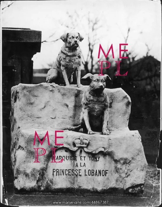 : CANINE GRAVESTONE : CANINE GRAVESTONE