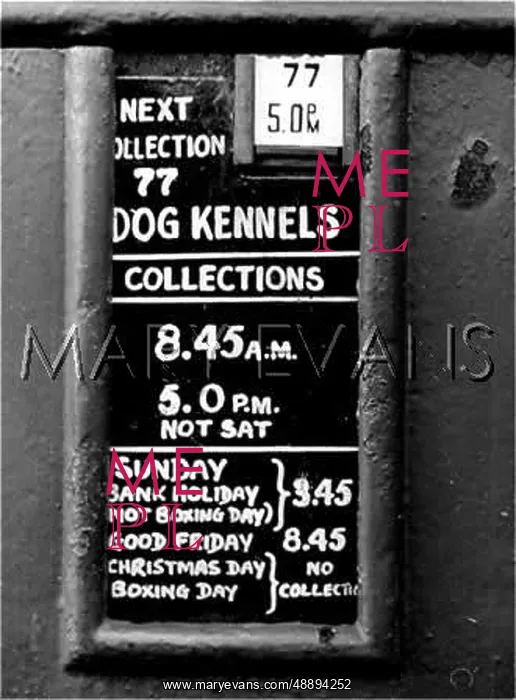 : CANINE POST BOX : CANINE POST BOX