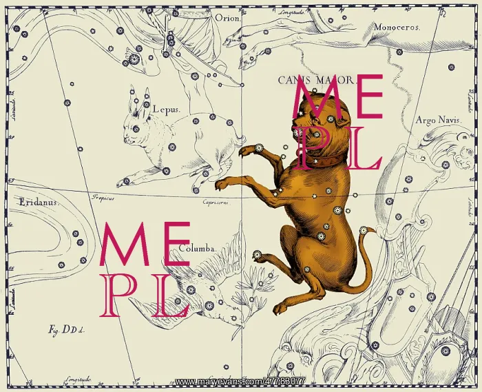 : Canis Major Constellation, 1687 : Canis Major Constellation, 1687