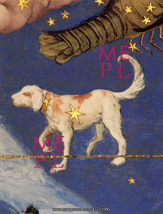 : Canis Minor : Canis Minor