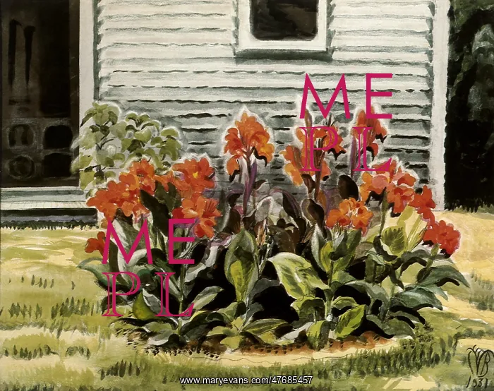  : Cannas and Studio