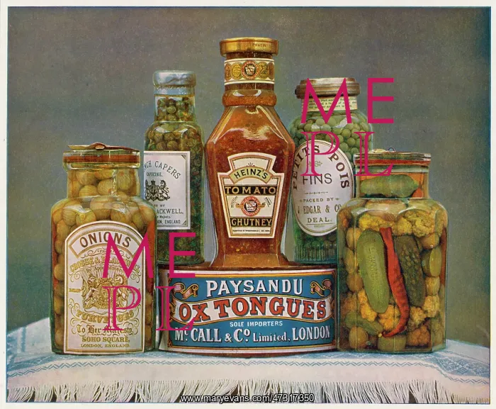 : Canned and Bottled Foods : Canned and Bottled Foods