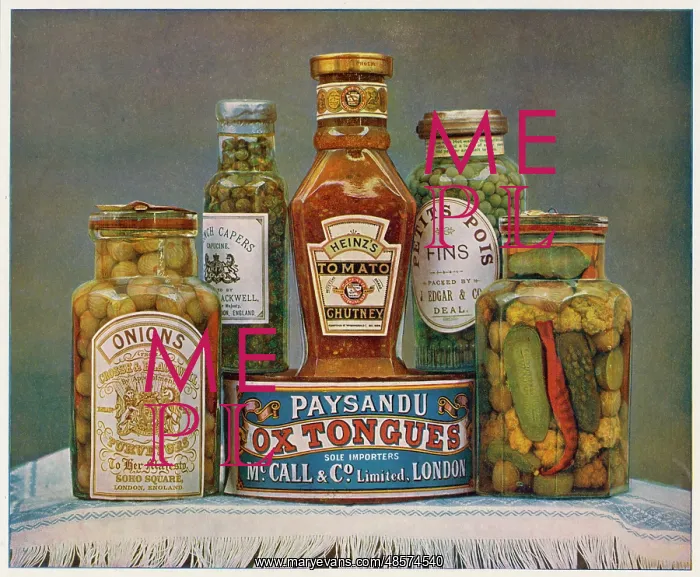 : Canned and Bottled Foods : Canned and Bottled Foods